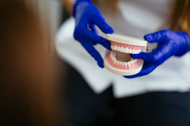 Trusted Lakeland, FL Dental Services Experts
